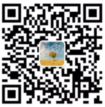 /uploads/image/2020/02/19/0219206.png /uploads/image/2020/02/19/0219206.png