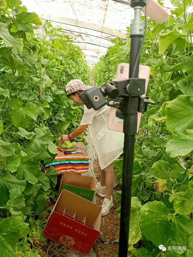 /uploads/image/2020/07/02/友阿3.jpg 友阿3.jpg