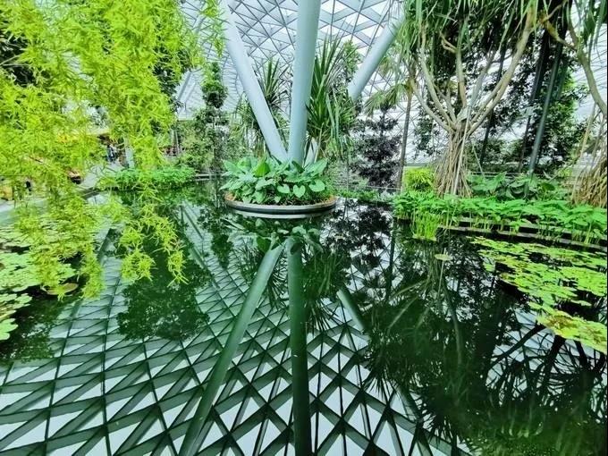 /uploads/image/2020/08/10/8128.jpg 8128.jpg