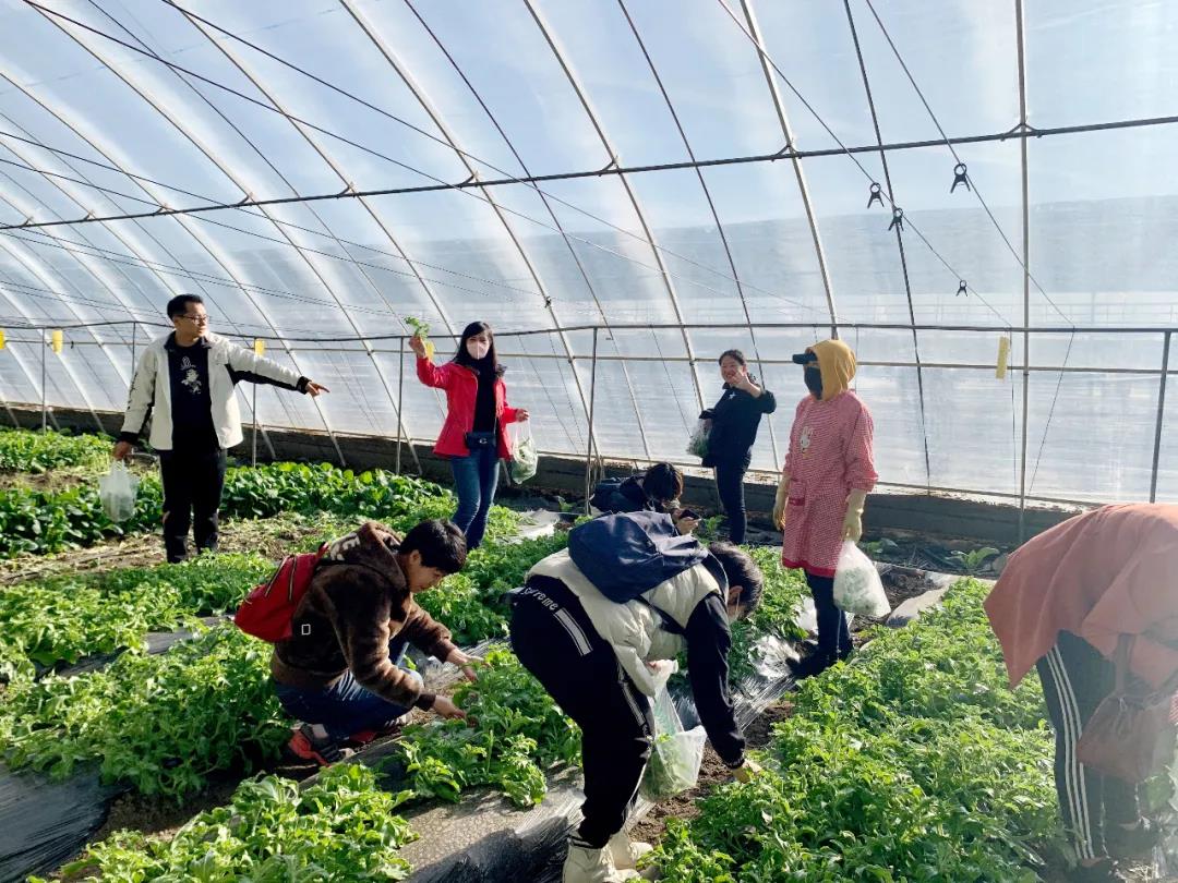 /uploads/image/2020/11/16/1233.jpg 1233.jpg