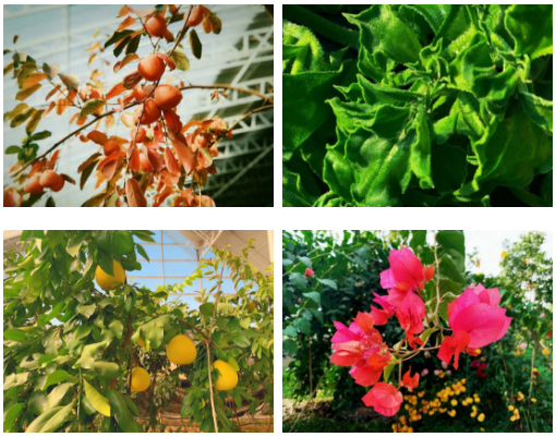 /uploads/image/2020/11/16/321.png 321.png