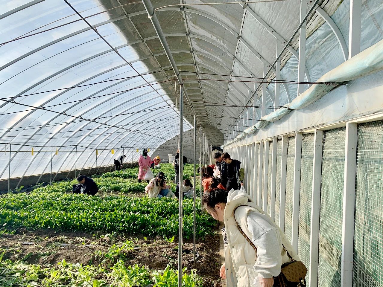 /uploads/image/2020/11/16/3211.jpg 3211.jpg